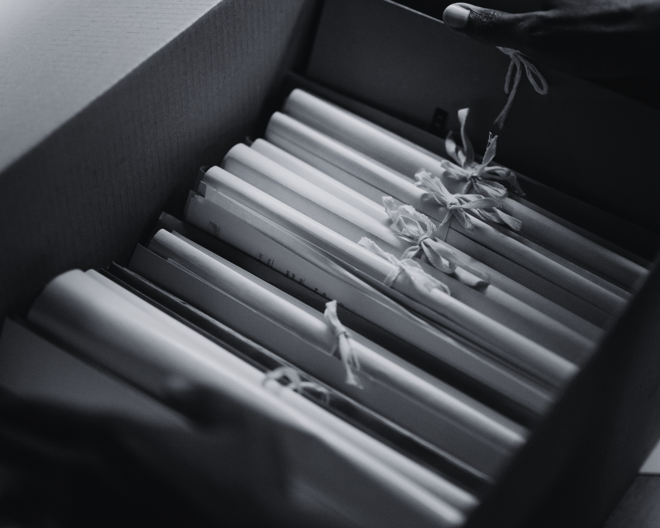 Diseño sin título (69)